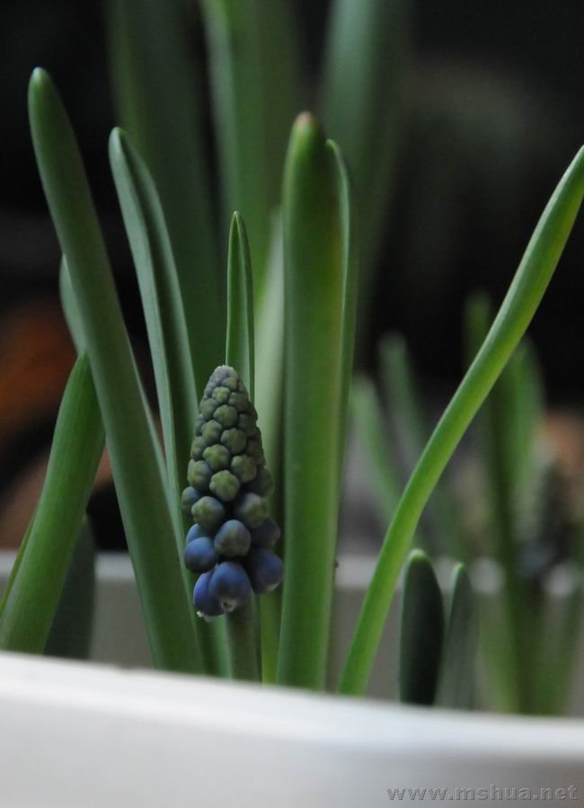 ������С lpt0223-7.jpg