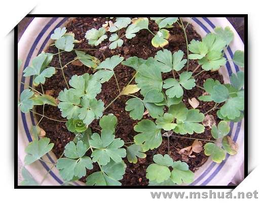 �������ﶷ�ˣ�Ҳ�Ǳ����ò��������ˣ�