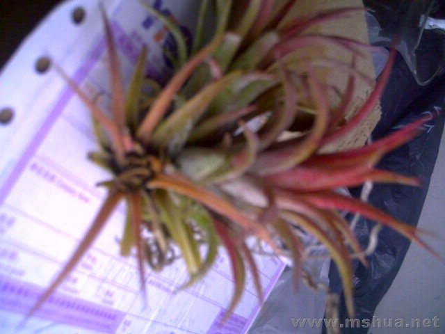 �������ģ��ĸ���