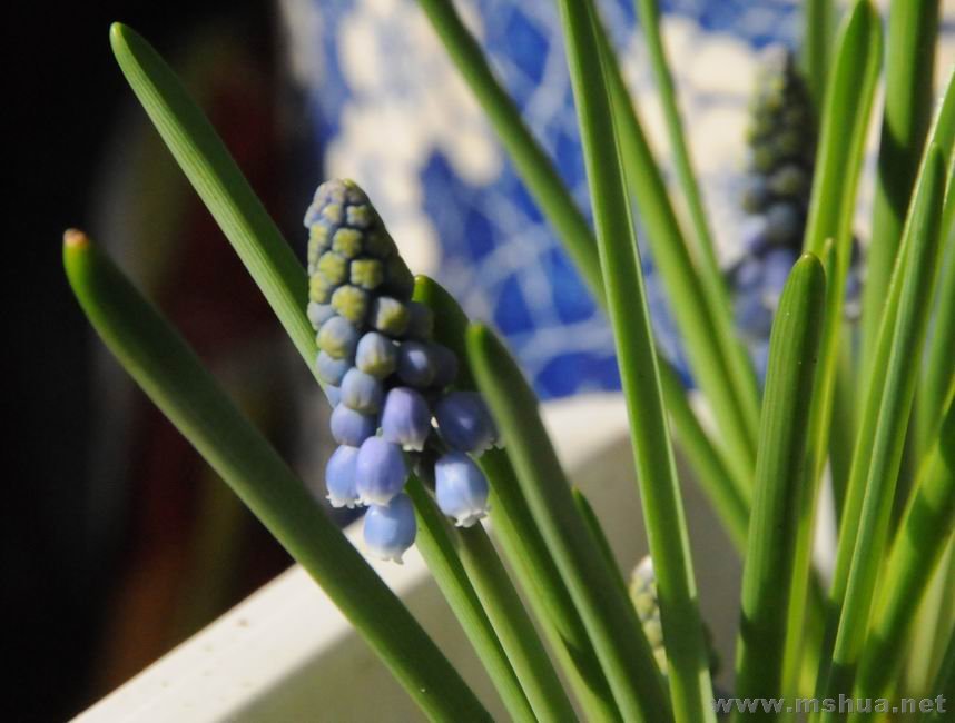 ������С lpt0226-1.jpg