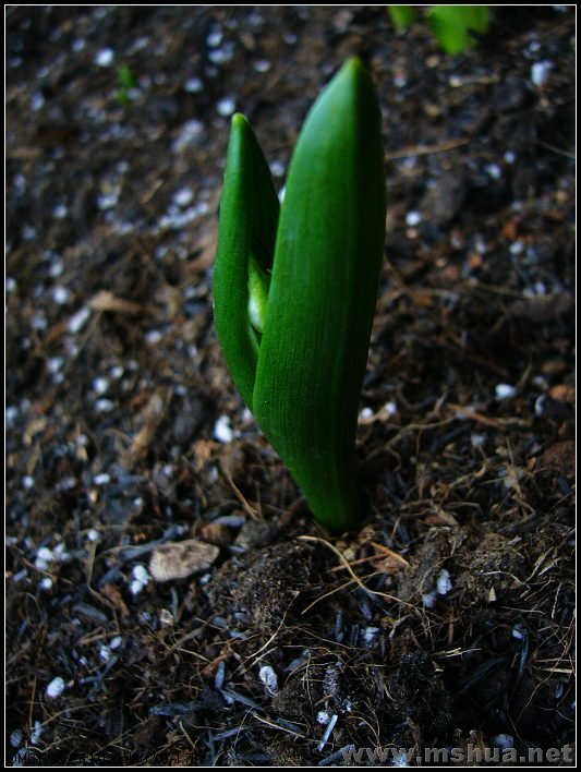 ����������  �� ƽ��2 2008.2.22_nEO_IMG.jpg