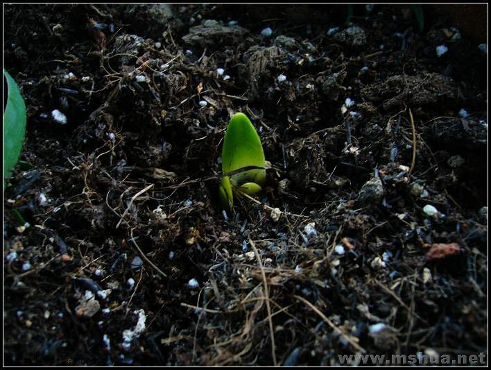 ѩƬ�� 2008.2.26_nEO_IMG.jpg