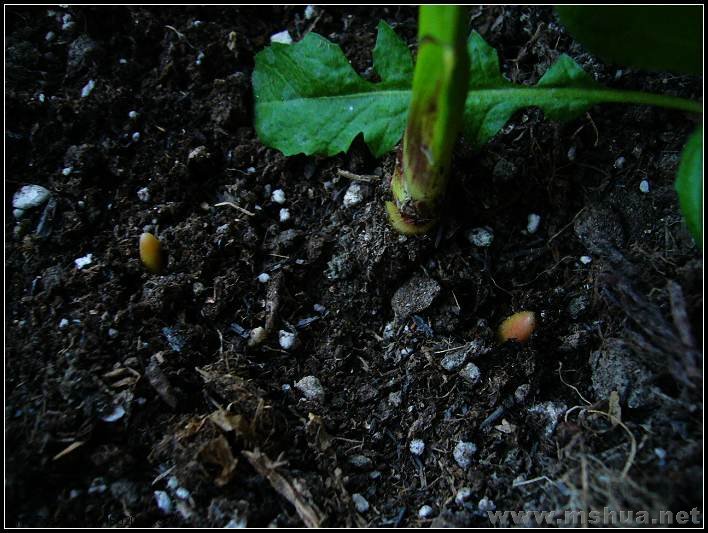 ������3 2008.2.26_nEO_IMG.jpg