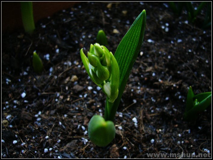 ����������  �� ƽ�� 2008.2.27_nEO_IMG.jpg