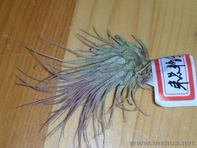 �������� 005.jpg