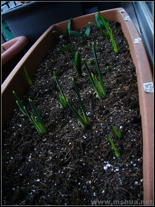 ������������β 2008.2.22_nEO_IMG.jpg