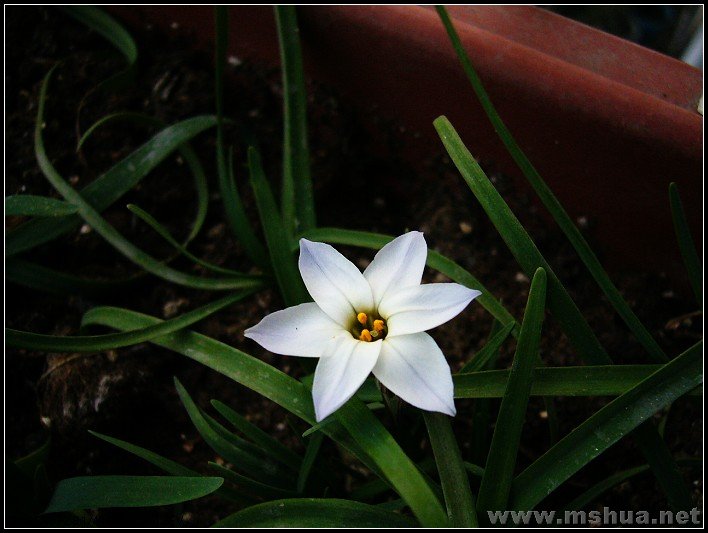 ������3 2008.2.26_nEO_IMG.jpg