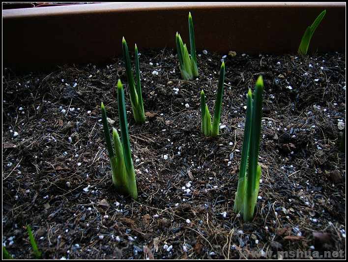 �β ������г 2008.2.22_nEO_IMG.jpg