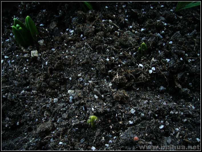 ������ 2008.2.26_nEO_IMG.jpg