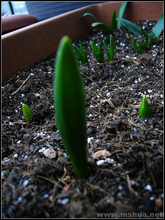 ����������  �� ƽ�� 2008.2.22_nEO_IMG.jpg