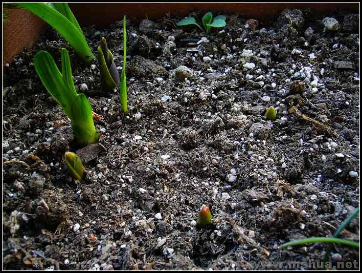 ������ 2008.2.27_nEO_IMG.jpg