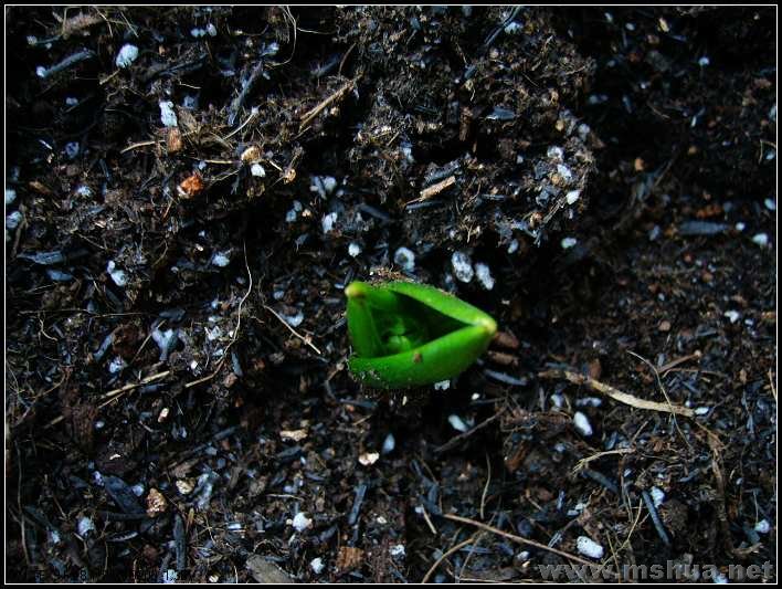 ����������  �� ƽ��3 2008.2.26_nEO_IMG.jpg