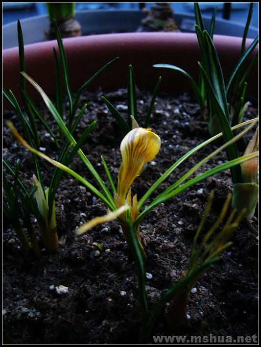 ���컨 2008.2.26_nEO_IMG.jpg