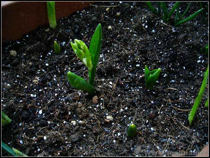 ����������  �� ƽ��2 2008.2.27_nEO_IMG.jpg