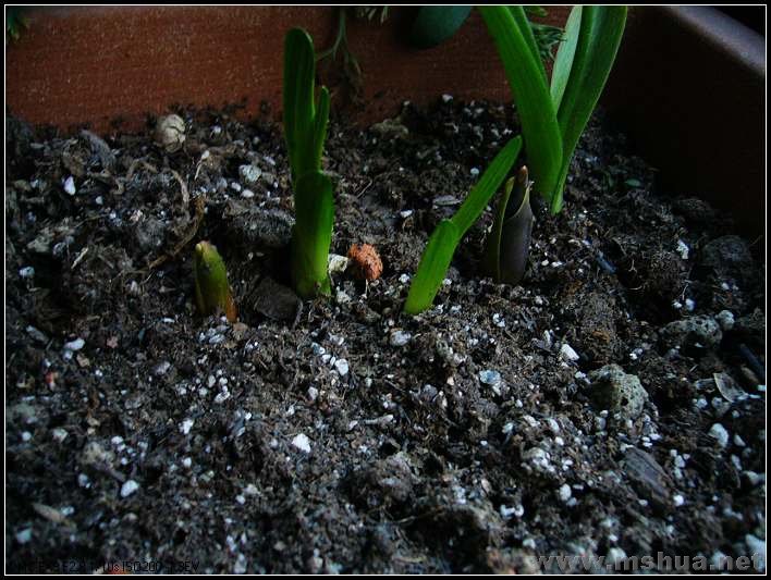 ������ 2008.2.26_nEO_IMG.jpg