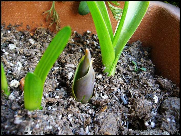 ������2 2008.2.27_nEO_IMG.jpg