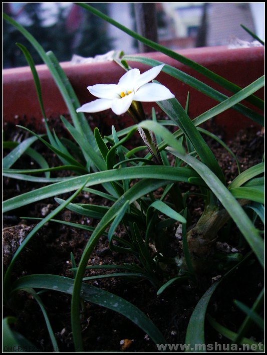 ������2 2008.2.26_nEO_IMG.jpg