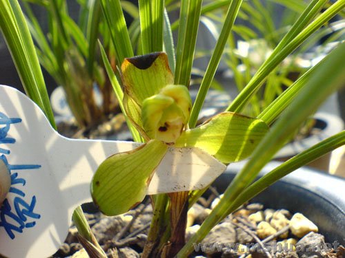 ���ܵĺ���