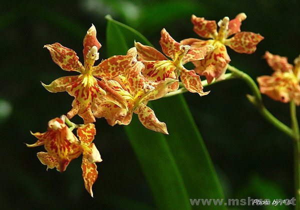 ����ƫ��ʱ,��ɫ����