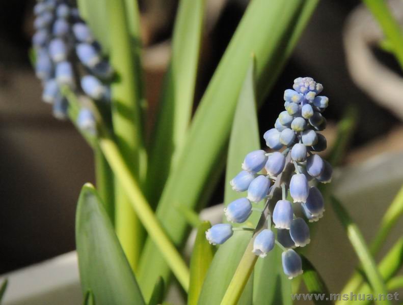 ������С lpt0229-014.jpg