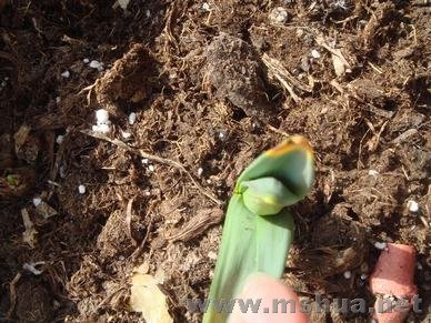 ���Ż�����ѿ����ˮ��