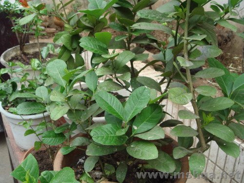 û���ֵ�¥�»�̳��ǰ�ĵ�