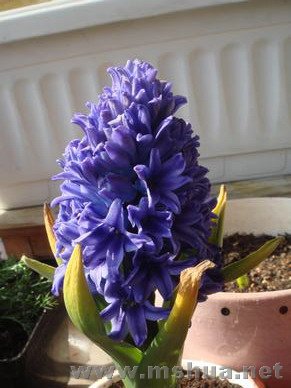 ����ʱ����õķ�����Ŷ��