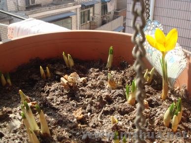 ���ȿ�����С��