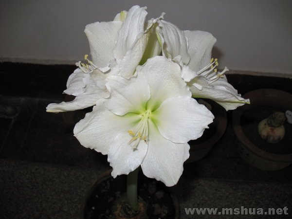 �ŵ���1.9 (3).JPG