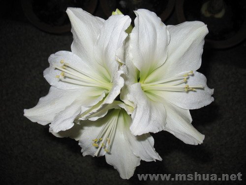 �ŵ���1.7 (10).JPG