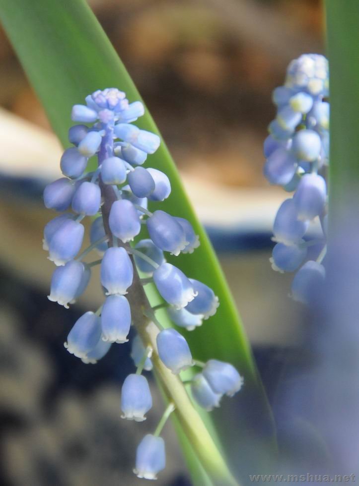 ������С lpt0301-05.jpg