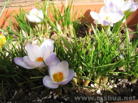 IMG_2417.JPG