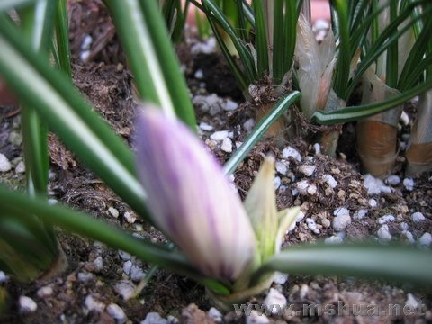 IMG_2429.JPG