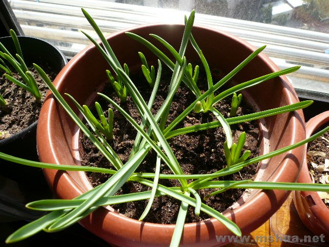 3��1�� �ڹ����� ��˿��