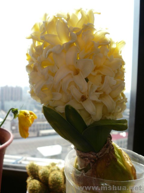 ���ͱ����