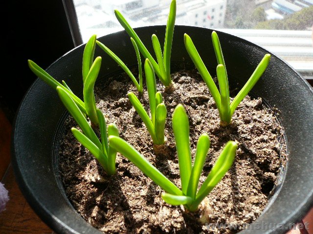 3��1�� �ڹ���