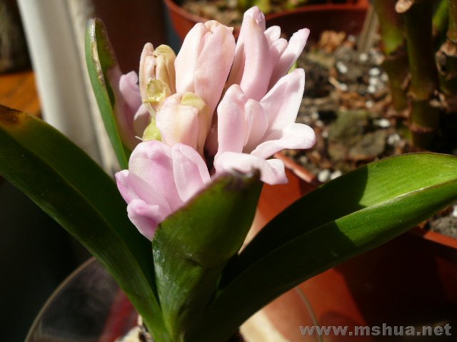 3��1�յ�PP�������Ѿ���������