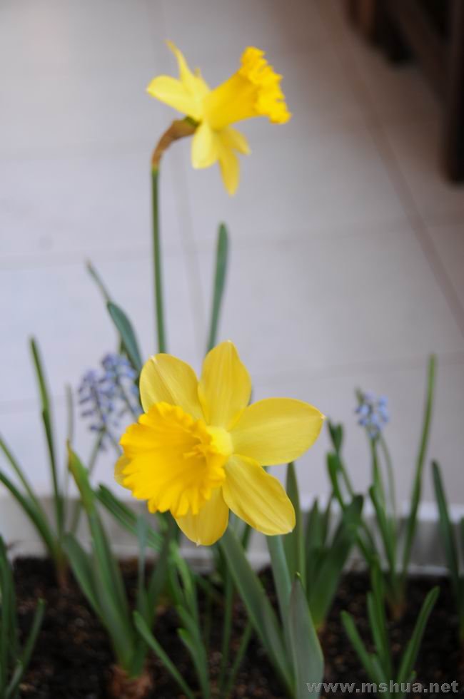 ������С 2008.03.01 344.jpg