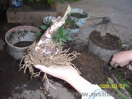 200803 004.jpg