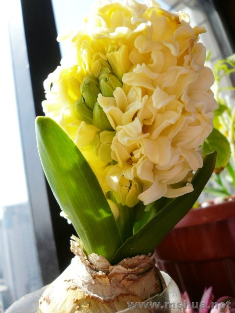 �������һ��