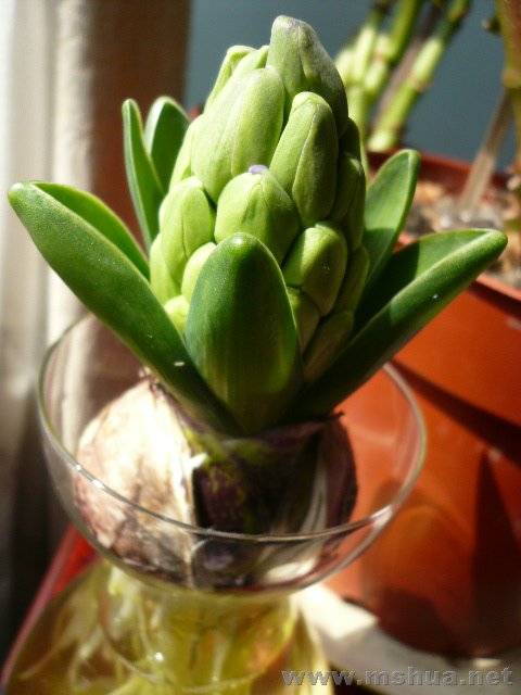 �Ժ���С�ģ���ɫ�ˣ�������