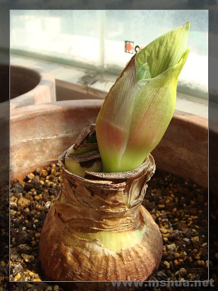 20080303 012.JPG