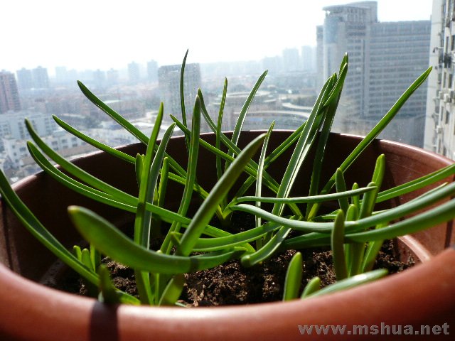 ��˿���Ĳ��棬û�е���