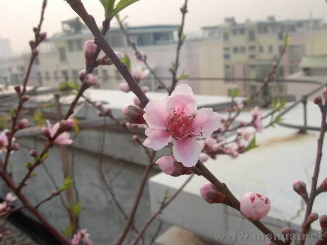 PIC_0417.jpg