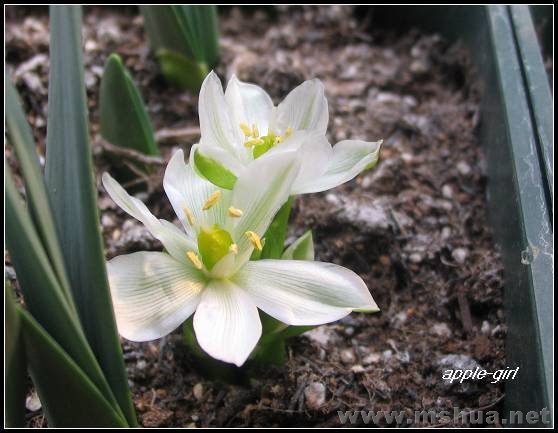 ��Ƭ20080304 003.jpg