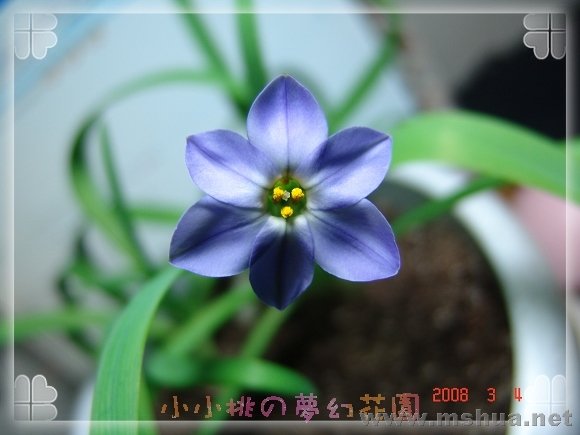 DSC074171111.jpg
