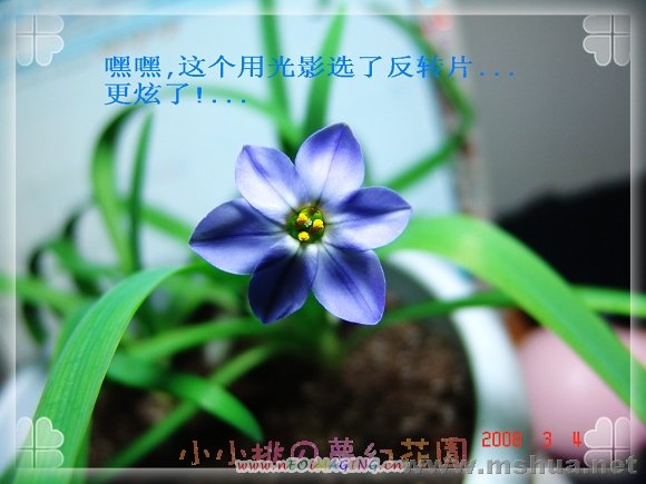 DSC0741444444.jpg