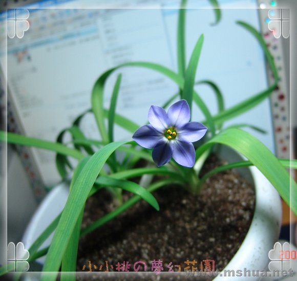 DSC07423000`.jpg