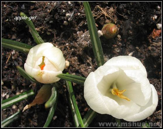 ��Ƭ20080229 137.jpg