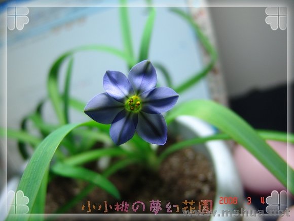 DSC074182222.jpg